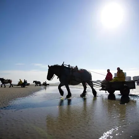 In By The Appartement