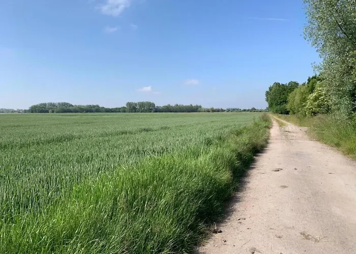 In By The Apartamento *