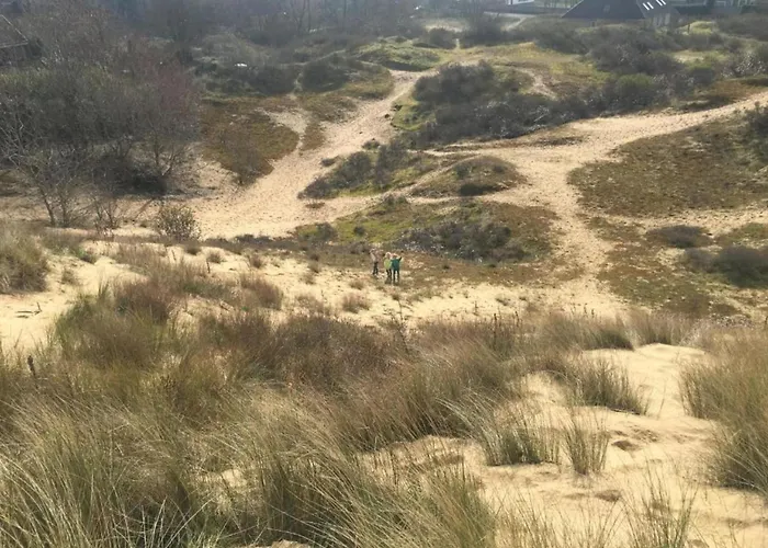 In By The Apartamento *