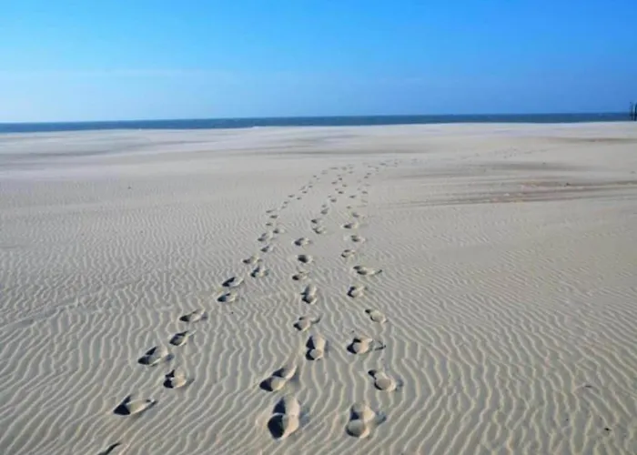 In By The Apartamento Nieuwpoort