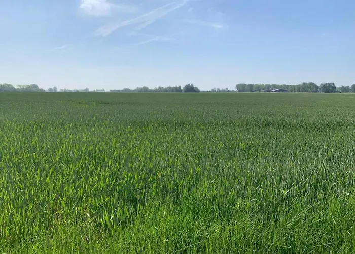 In By The * Nieuwpoort